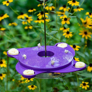 Butterfly Feeder Nectar