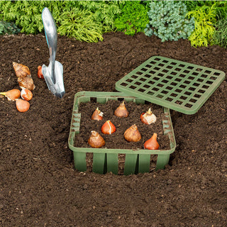 Wellbuilt Bulb Planter