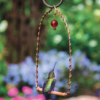 Hummingbird Perch