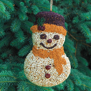 Birdseed Snowman