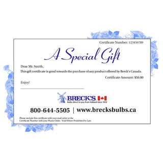 Gift Certificate