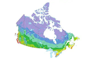 Canadian Hardiness Zone